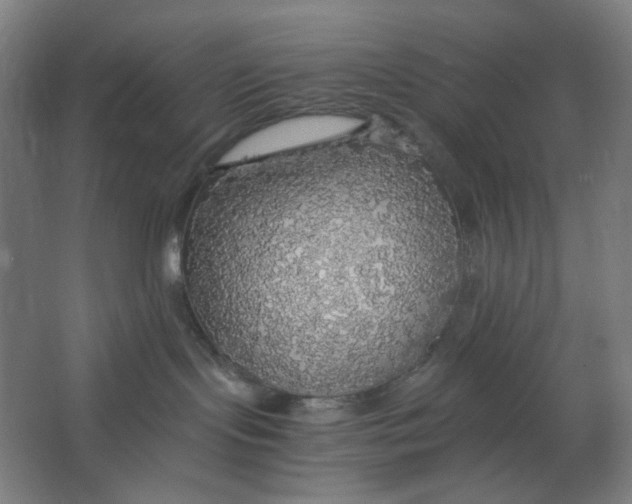 X0000063460095200602101726