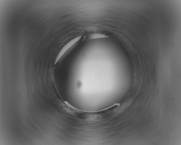 X0000063460096200602101726