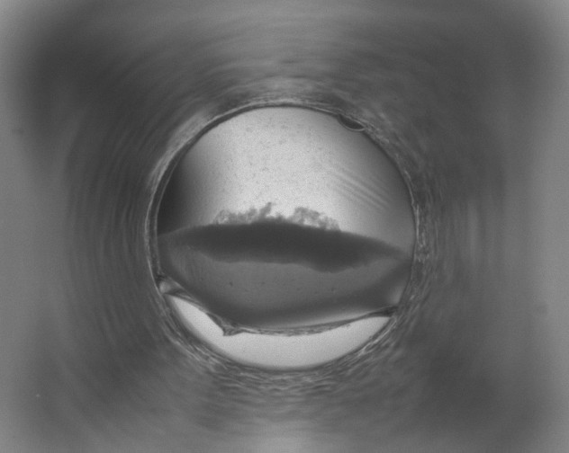 X0000063460099200602101725
