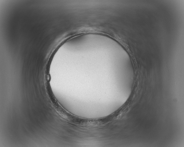 X0000063460103200602101725