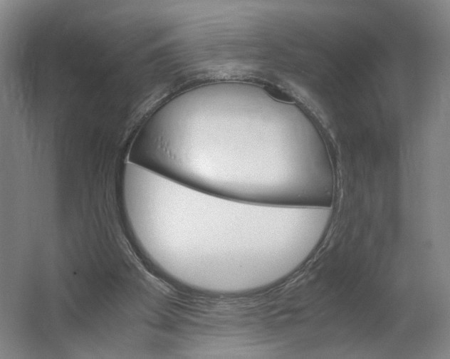 X0000063460105200602101725