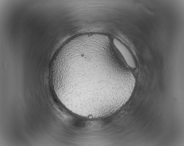 X0000063460107200602101725