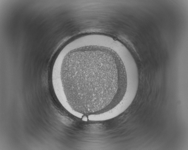X0000063460108200602101725