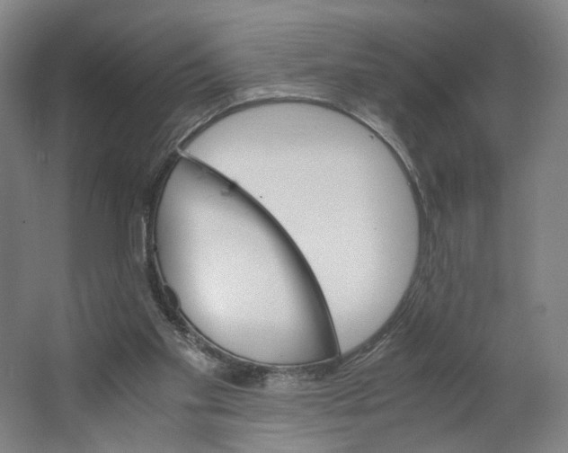 X0000063460109200602101725