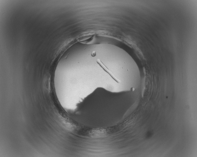 X0000063460110200602101725