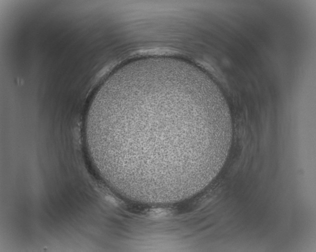 X0000063460111200602101725