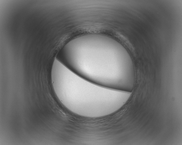 X0000063460113200602101725