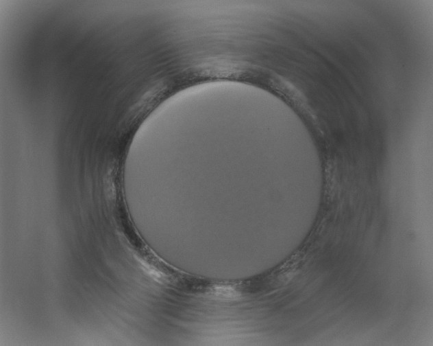 X0000063460114200602101725