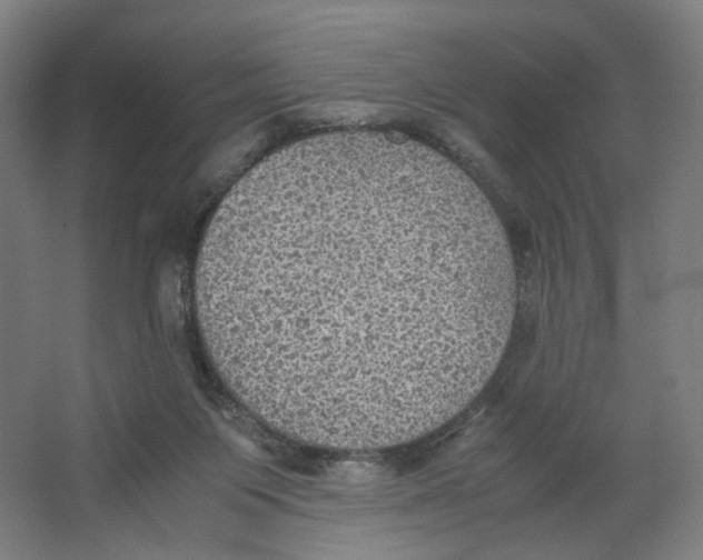 X0000063460119200602101724