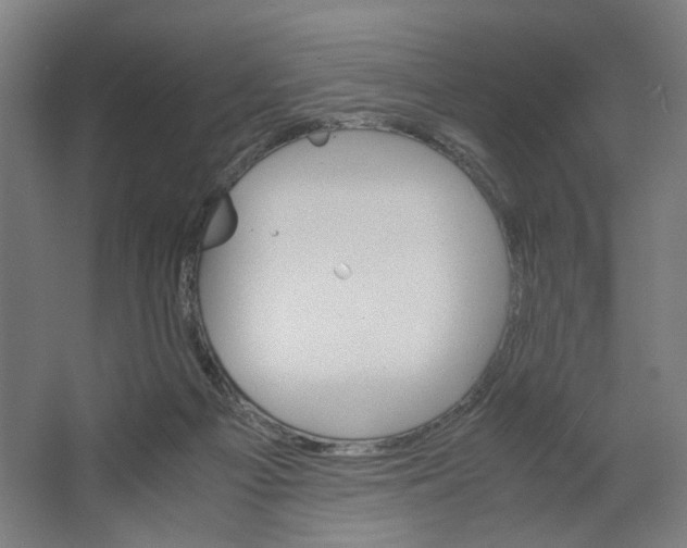 X0000063460121200602101724