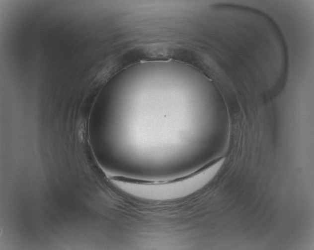 X0000063460125200602101724
