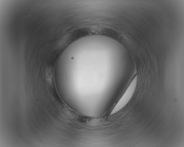 X0000063460129200602101724
