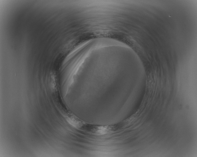 X0000063460130200602101724