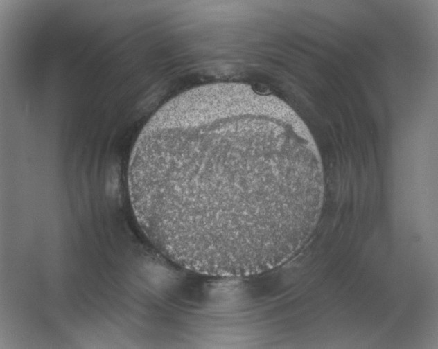 X0000063460132200602101724