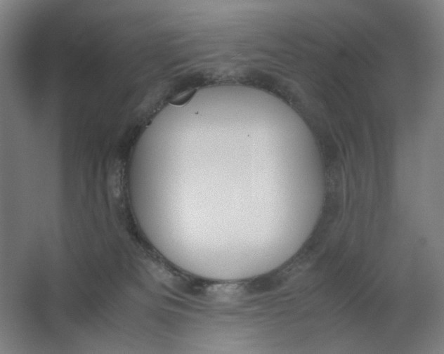 X0000063460133200602101724