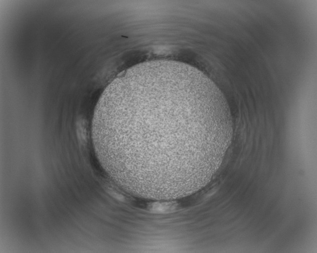 X0000063460135200602101724