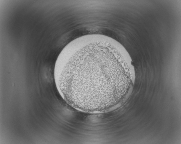 X0000063460136200602101724
