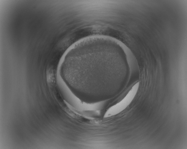 X0000063460137200602101724