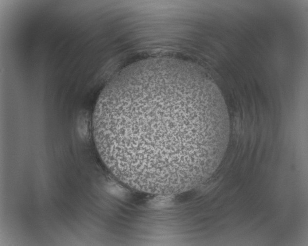 X0000063460138200602101724