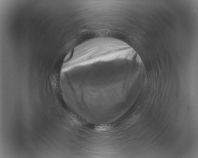 X0000063460139200602101724
