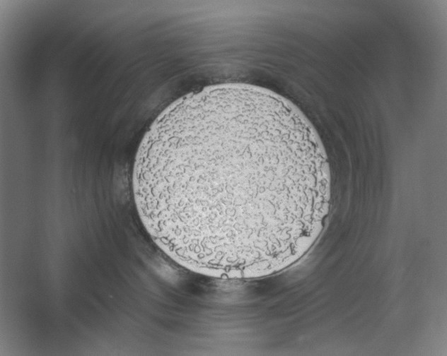 X0000063460144200602101724