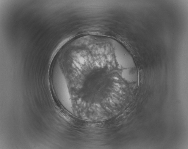 X0000063460147200602101723