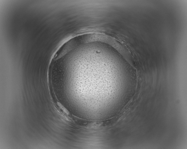 X0000063460148200602101723