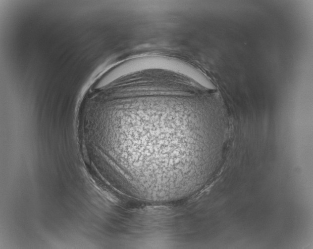 X0000063460150200602101723