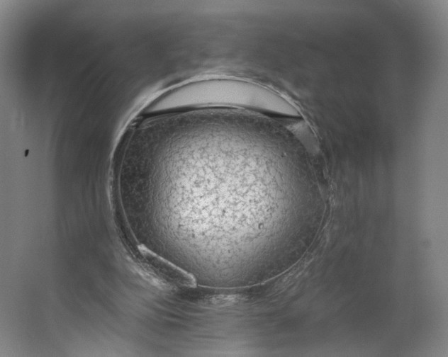 X0000063460152200602101723
