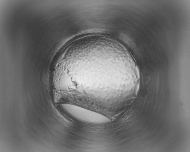 X0000063460156200602101723