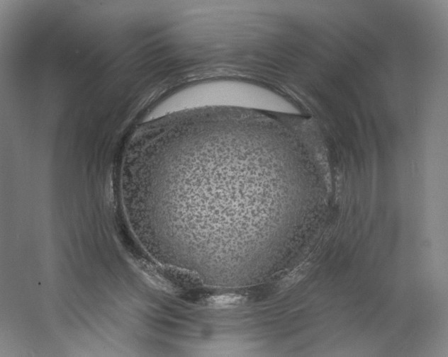 X0000063460158200602101723
