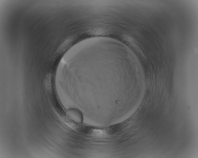 X0000063460167200602101724