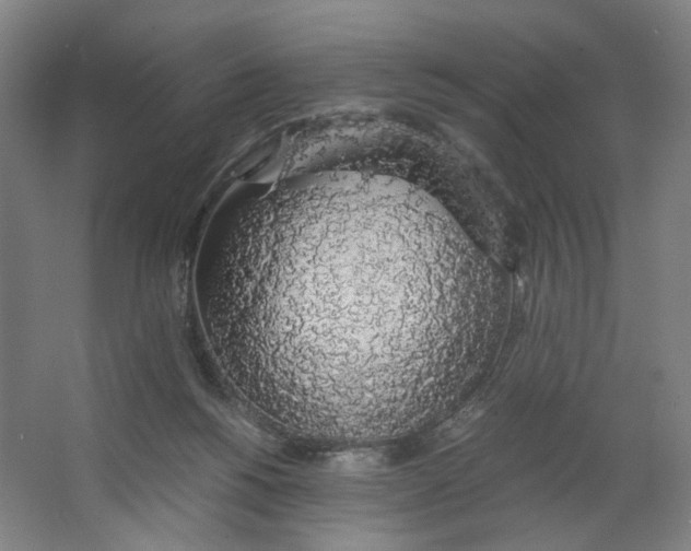 X0000063460168200602101724