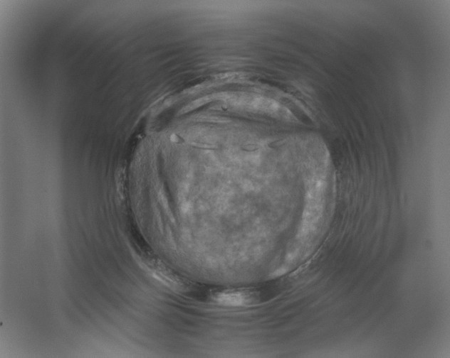 X0000063460171200602101724