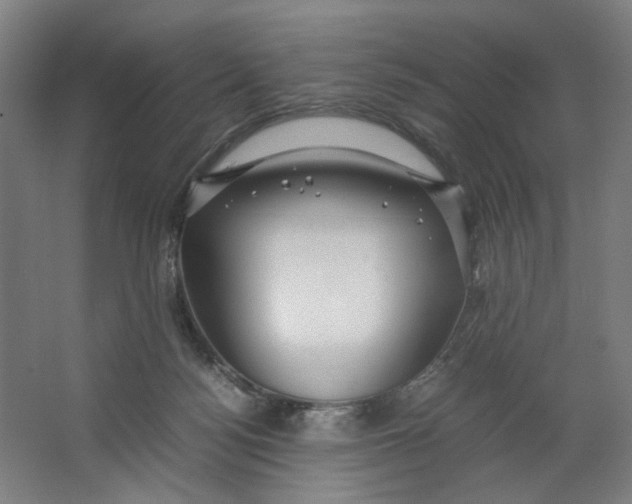 X0000063460172200602101724