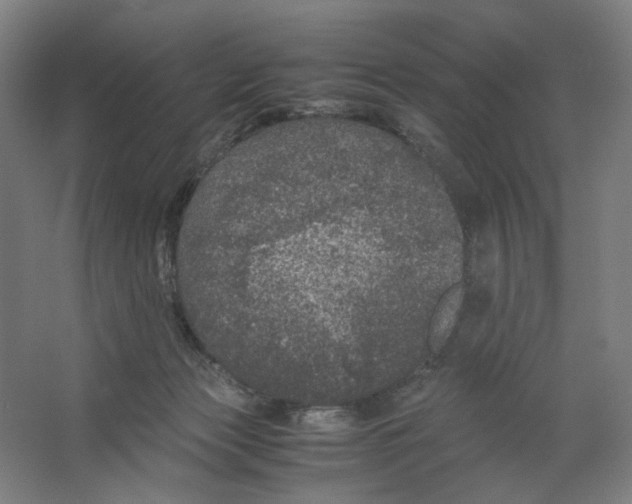X0000063460173200602101724