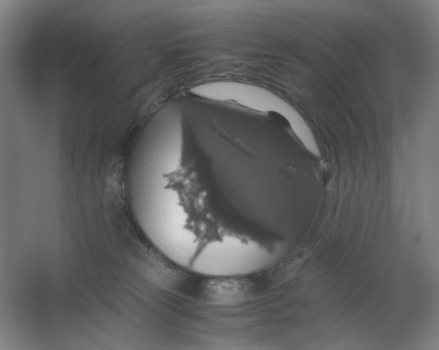 X0000063460181200602101724
