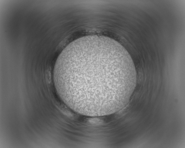X0000063460183200602101724