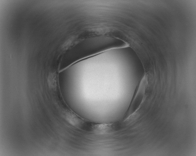 X0000063460184200602101724