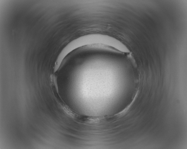 X0000063460190200602101724