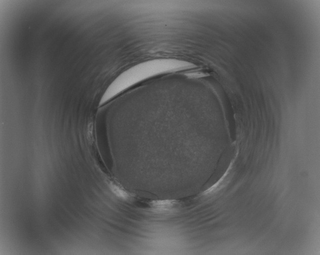 X0000063460192200602101724