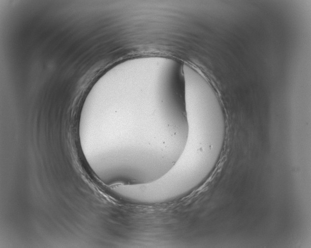 X0000063460193200602101723