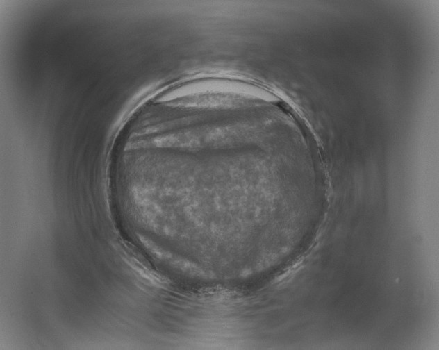X0000063460199200602101723