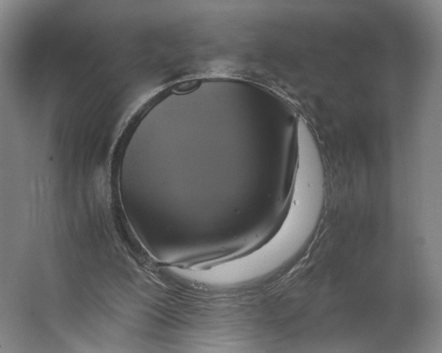 X0000063460200200602101723