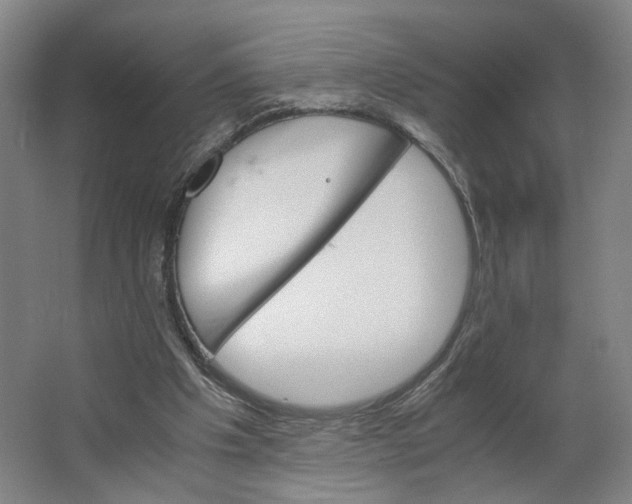 X0000063460201200602101723