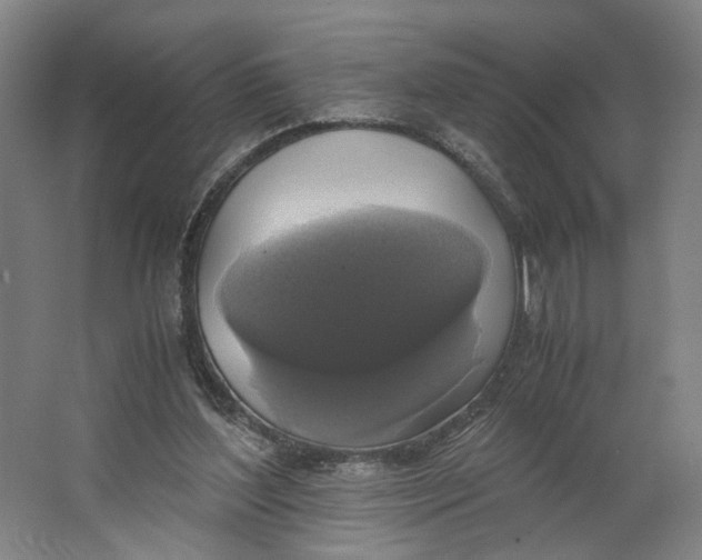 X0000063460204200602101723