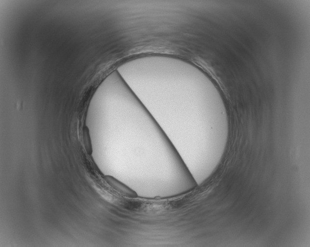 X0000063460205200602101723