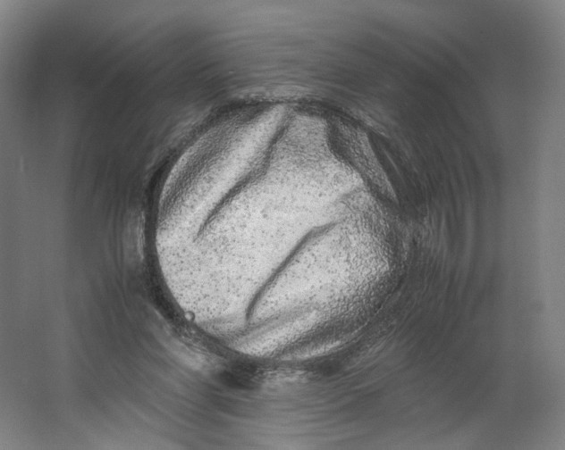 X0000063460206200602101723