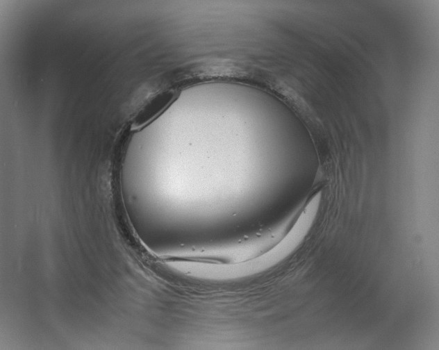 X0000063460207200602101723