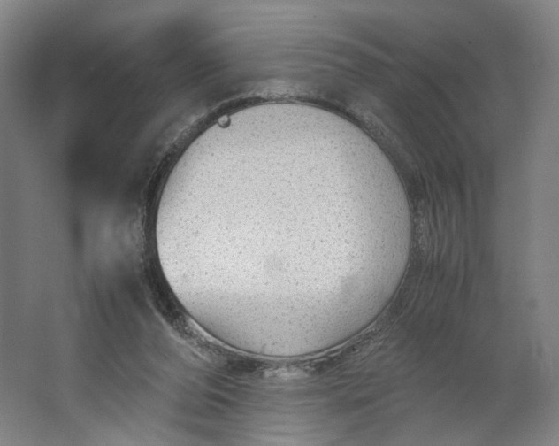 X0000063460208200602101723